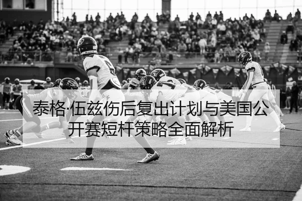 tai-ge-wu-zi-shang-hou-fu-chu-ji-hua-yu-mei-guo-gong-kai-sai-duan-gan-ce-lve-quan-mian-jie-xi-2-776.jpg